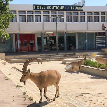 Tzukim Desert Traveler'S Hotel - מלון צוקים Mitzpe Ramon Ngoại thất bức ảnh